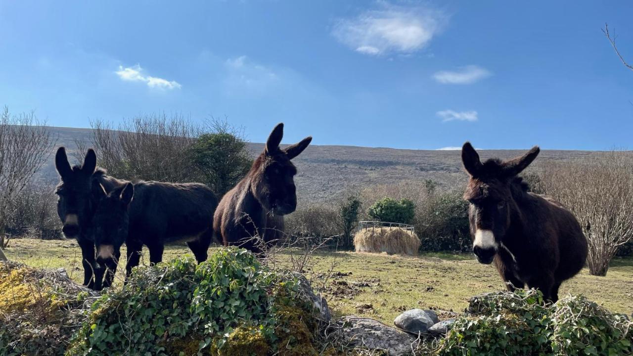 Cappabhaile House Ballyvaughan Eksteriør billede